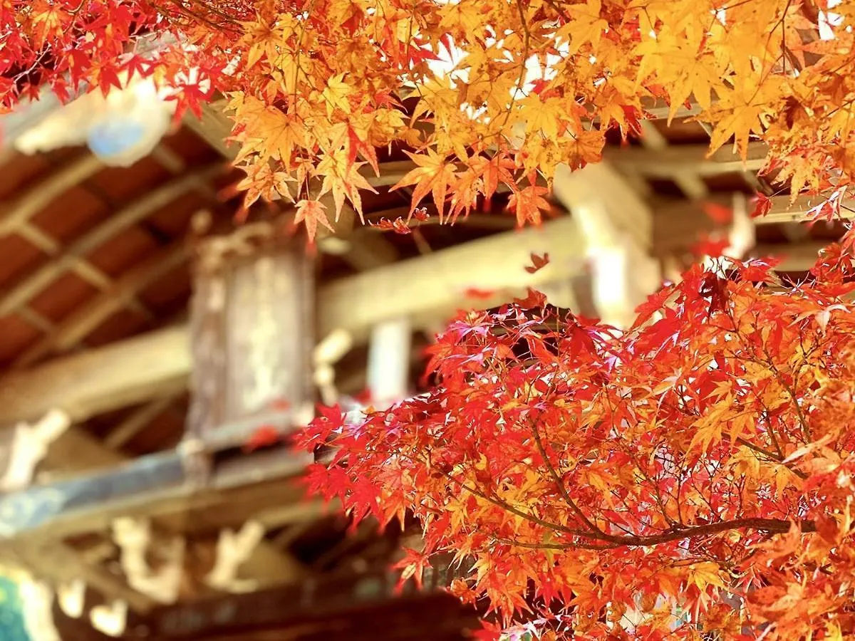 Sun Members Kyoto Saga Hotel 4*,