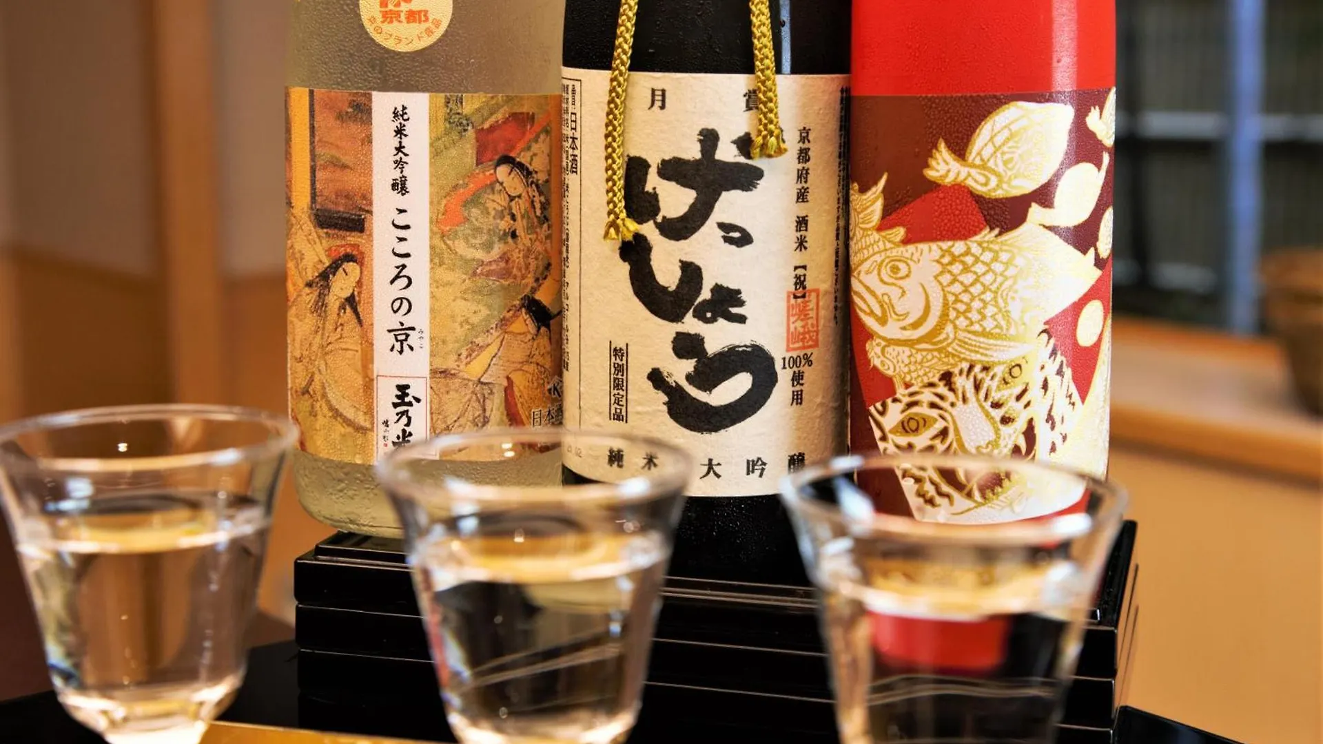 Sun Members Kyoto Saga Hotel